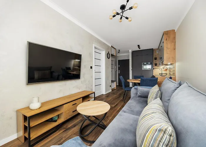 Nowy Przy Onkologii I Politechnice 公寓 *